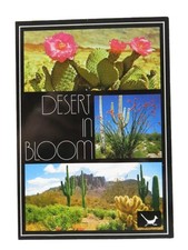 Vintage Desert in Bloom Postcard – Arizona Petley Studios Multi-View picture