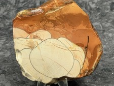 A+ Willow Creek Jasper Slab, Lot#204 picture