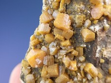 Wulfenite (Small Cabinet) Mezica, Slovenia. Ex Rosewarne, Gazmuri Collections picture