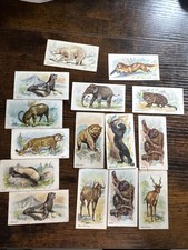 1901 John Player Wild Animals Of The World Part Set 15 Cards picture
