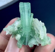 170 Cts Bunch Of Tourmaline Crystal Specimen From Afghanistan. picture