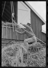 Lake Dick Arkansas 1938 Hay Hoist to Loft Farm Security Administration picture