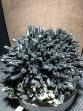 13.2LB A+Natural Green Quartz Cluster Crystal Mineral Specimen+Stand Healing picture