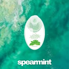 3 Packs Spearmint Flavor Balls picture