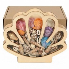 3D Wooden Seashell Display Case Shadow Box Wall Decor Home Decor Wooden Wall picture