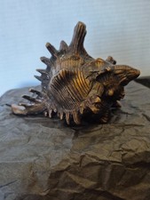 Highly Detailed Vintage Bronze Finish Spider Conch Seashell - Unusually Large picture