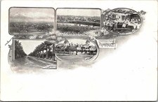 c1900 Hotel Palomares & Orange Packing Pomona California CA Multiview UDB Postca picture