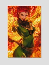 Phoenix Jean Grey Premium Giclee Print Poster 11