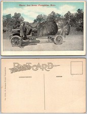 Exaggeration Giant Pumpkins Truck Men Farm Humor Freak Vegetables Postcard picture