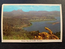 VTG Postcard Young's Bay & Saddle Mountain Astoria Oregon Souvenir picture