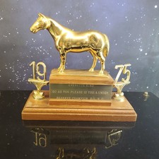 VTG 1975 Quarter Horse Trophy Youth Everette Kind B.L.H.C. picture