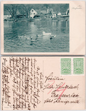 Austria Bad Hall 1920 Dorfweiher Pond Ducks Village Houses Teich Enten Postcard picture