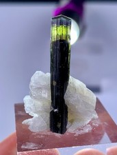 5 Gram Aesthetic Purple,Blue&Green Cap Tourmaline With Albite From Skardu Pak. picture