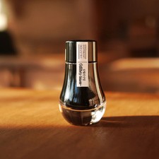 Dominant Industry October Leaves - Pearl Series Ink Bottle picture