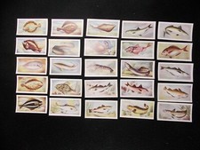 White Fish Authority Trade Cards Fish We Eat 1954 Complete Set 25 picture
