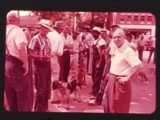 Group of Men Dogs Ektachrome Slide Vintage 35mm Transparency Street Scene picture