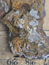 Rare Chlorargyrite specimen picture
