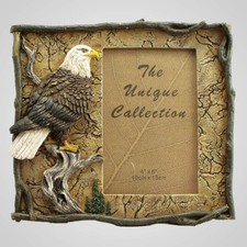 Lipco Polyresin Eagle Photo Picture Frame Multicolor 25 inch 8 Standard Rustic picture