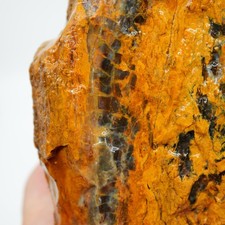 Parker Shrinkwood Cut and Proven Rough - Druzy Pockets Tower Display picture