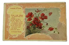 Language of Flowers Poem by G. Preston-Wynne, Floral ~ Antique 1910s Postcard picture