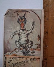 1880s-90s Victorian Cat Shower Angry DR THOMAS ELECTRIC OIL picture