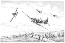 Red Hot Pursuit by Simon Atack aviation art signed by Russian WW2 Aces picture