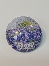 Texas Travel Souvenir Fridge Magnet Round Domed Acrylic Bluebonnets picture