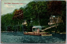 New Hope Skaneateles Lake NY Dock Boathouse Scene Early 1900s Postcard x1910 picture