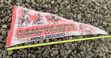 vintage Cowtown Pro Rodeo felt pennant historic Cowtown Coliseum Fort Worth TX picture