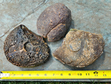Lot of 3 Brazilian Semi-Spherical Rough Agates, 10+ lbs, Ideal for Lapidary picture