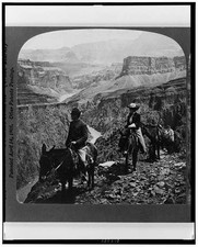 Photo:Grand Canyon Arizona Grand View Trail Mules Riders Cliff c1906 picture