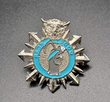RAOB Royal Antediluvian Order of Buffaloes Badge Pin 2000 Vintage picture
