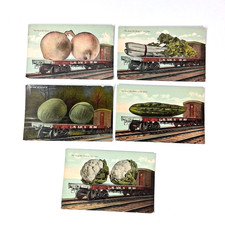 Lot Of 5 The Kind We Raise in Our State Exaggeration Postcard 1913 picture