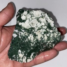 Stunning Tree Moss Agate Lapidary Rough Stone 14.36 Oz picture