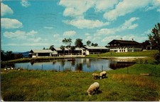 Vintage Mittersill Alpine Inn NH Scenic Postcard with Sheep & Pond 1968 picture