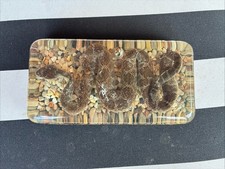 Vintage Diamond Back Rattler Taxidermy Paperweight  picture