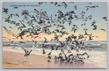 Postcard Dinner Time for the Sea Gulls UNP Linen Bird Flock Waves picture