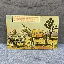Vintage Southwestern Desert Cartoon Postcard by Baxter Lane Co. picture