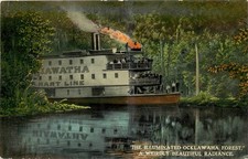 Hiawatha Steamer Ocklawaha River Florida Illuminated Forest Postcard c.1911 picture