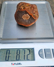 Lake Superior Agate Rough Brown/Red Banded 8.72 oz picture