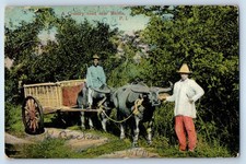 Philippines Postcard A Country Road Near Manila 1909 Olongapo Zambales picture