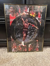 Vintage 1997 NBA Chicago Bulls Michael Jordan “8th Wonder of the World” picture