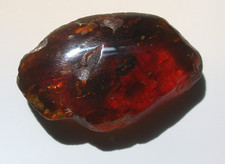 Beautiful Cherry RED Burmese Amber Fossil with Insects Dinosaur Age picture