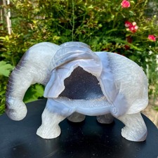 3.96LB Natural agate geode quartz crystal engrave Elephant skull healing gift de picture