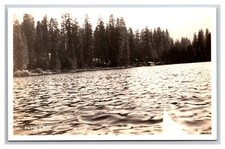 RPPC View From Water Hume Lake California CA UNP Postcard Z9 picture
