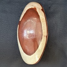 Big 11.4 Inch Shiva Lingam Natural stone from Narmada River in India C25.12.22 picture