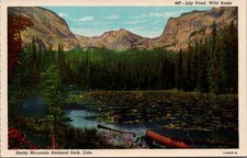 Lily Pond Wild Basin, Rocky Mountain National Park CO Vintage Postcard picture