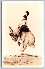 Vintage RPPC Cowboy Riding Giant Jackrabbit Suntishin' Garden City Kansas picture