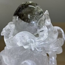 4.95LB Large Natural Garden Quartz Skull With Fox Statue Crystal FengShui Decor picture