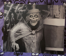 1969 Opening Day Hatbox Ghost changing picture Haunted Mansion Disneyland MNSSH  picture